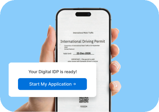 Instant Digital Translated PDF